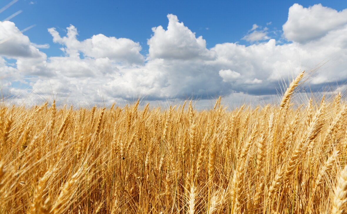 Фото: ru.freepik.com