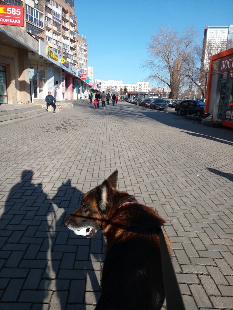 Приехали в Екатеринбург, идём от автовокзала в клинику. Надо было поставить эти фотки в предыдущую статью, но уже поздно. Пускай тут будут.  Фото автора. 