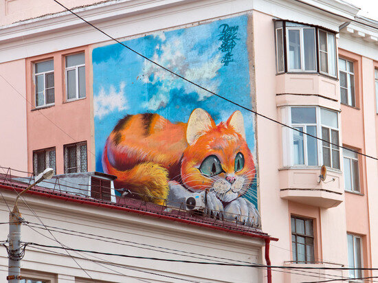     Фото: Дмитрий Куткин