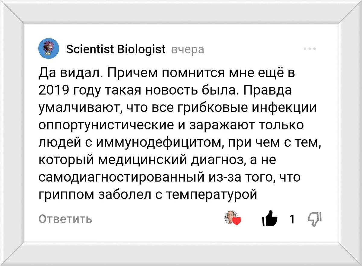 Скрин комментария. 