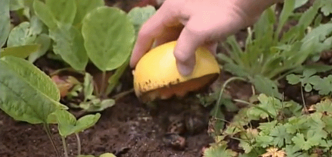 Взято из открытых источников