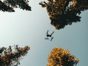    Фото: unsplash.com / KAL VISUALS Маргарита Пименова