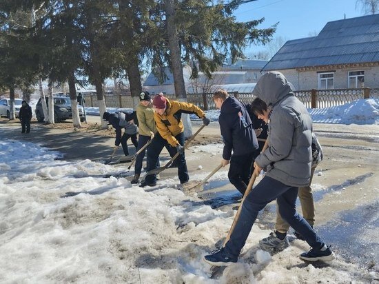     barnaul.org