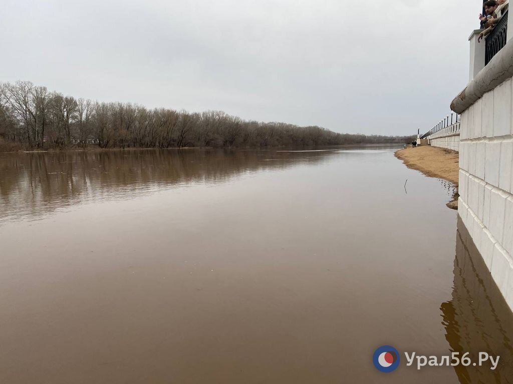 Какой уровень реки урал в оренбурге сегодня. Река Салмыш Оренбургская. Уровень воды в реке Урал у Оренбурга в 2023. Разлив Урала в Оренбурге. Затопления реки Урал в Оренбурге.