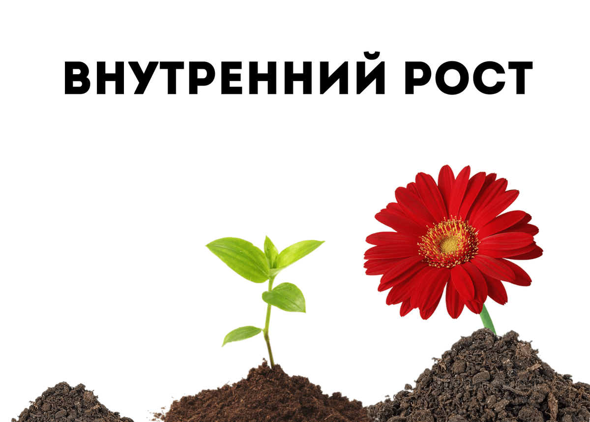 Рождение цветка