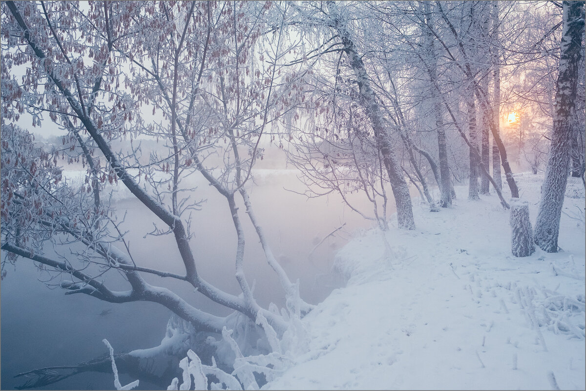 Даже зима. Пехорка зимой фото. Парк Пехорка зимой ночью.