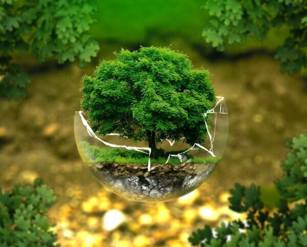    Фото: pixabay.com