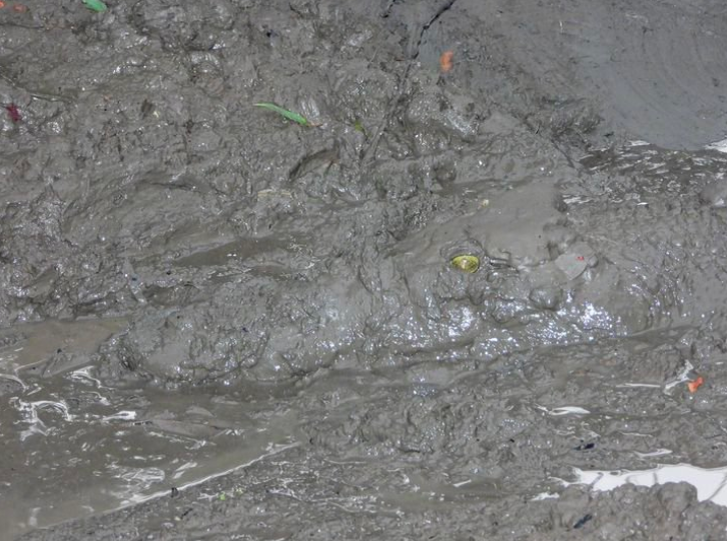 Фото: Родни Фишер