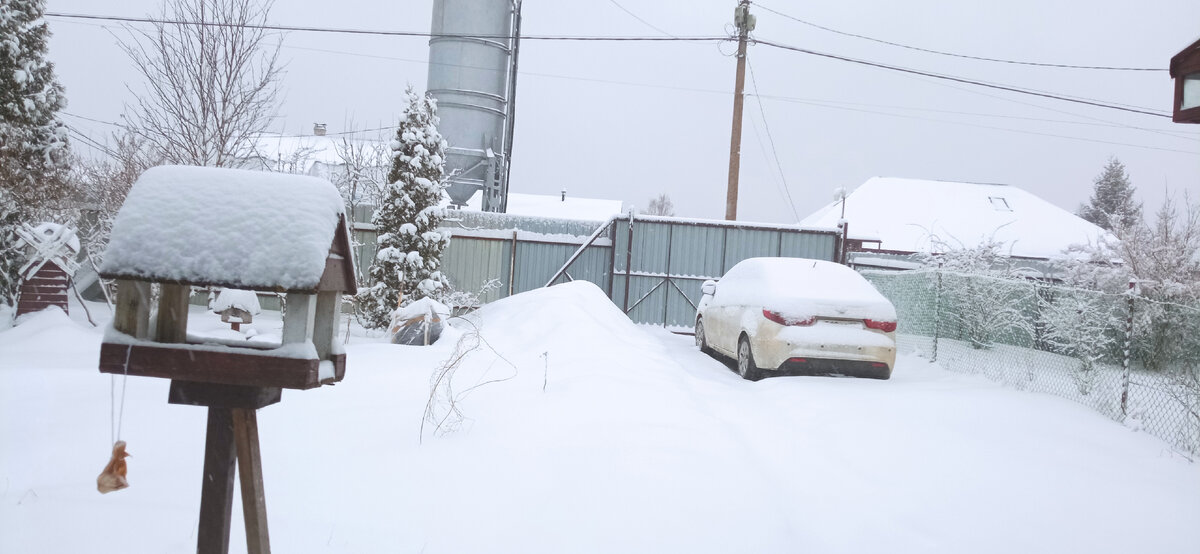 Первое апреля.  Фото автора