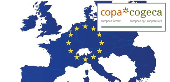 Яндекс. Картинки.