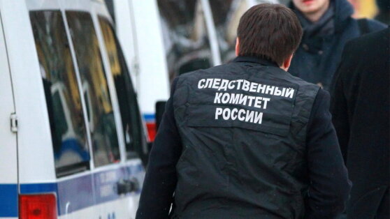    СК РФ возбудил уголовное дело по факту убийства военкора Татарского Анна Оленькова