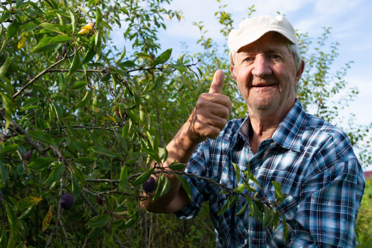    Готовность № 1. Как пожилым людям подготовить себя к дачному сезону?