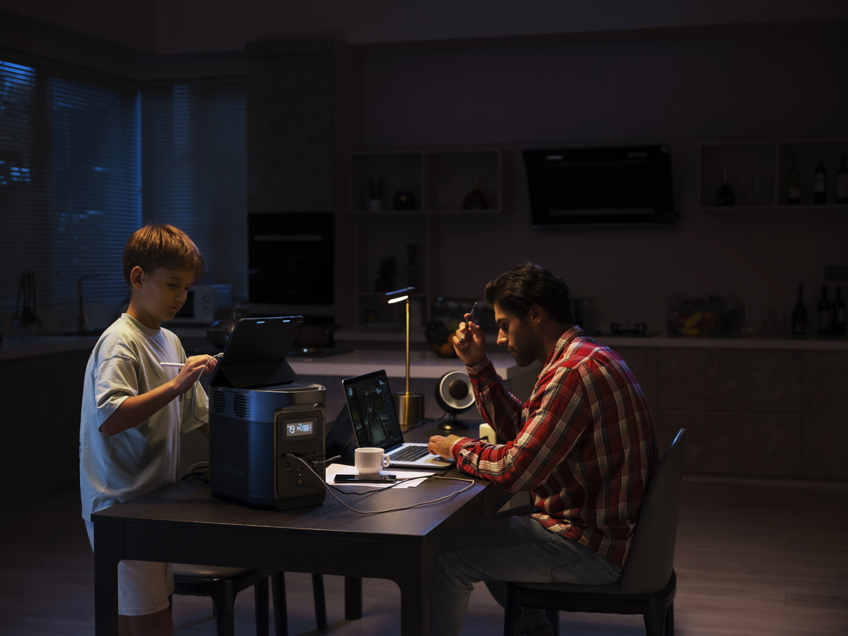 Портативные электростанции EcoFlow Delta 2