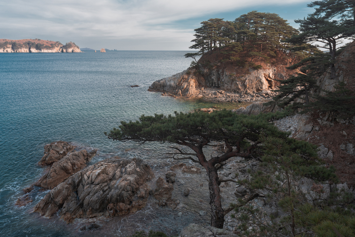 Приморье остров путятин. Приморский край дальневосток. Tor risdal stavenes. Исследуй приморье. Парк драконов лазовский заповедник.