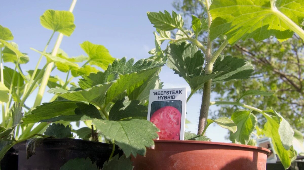 Фото: pxhere.com