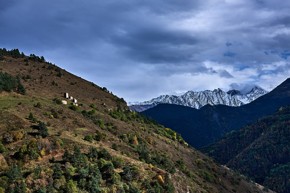 Tumgho Dzurdzuk/ unsplash.com 