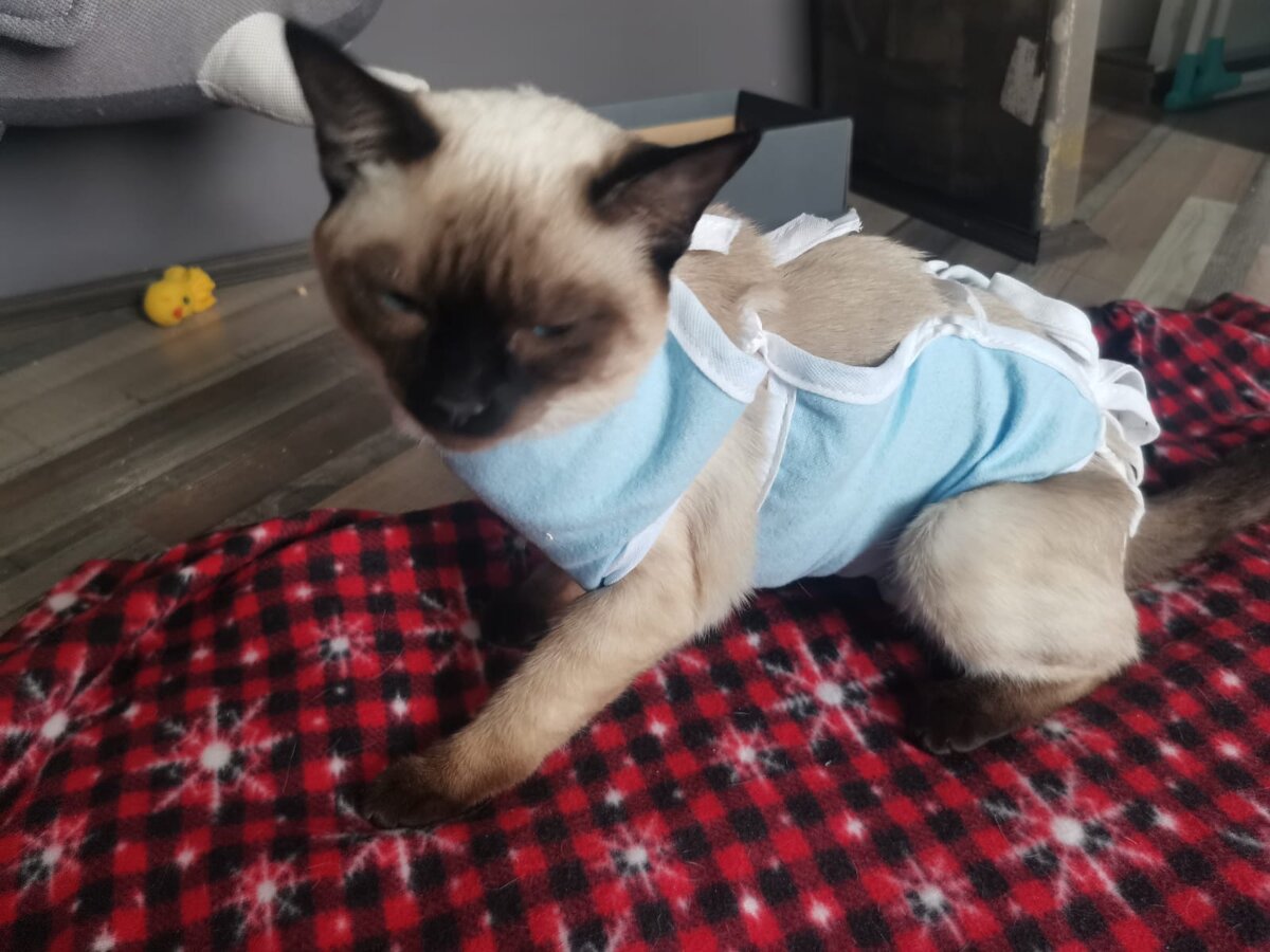 Привезли после операции