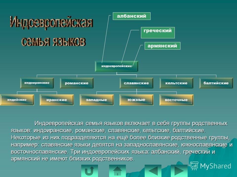 Языковые группы языков. Индоевропейская языковая семья армяне. Иранские языки ветви. Языки иранской ветви индоевропейской семьи. Индоевропейская семья иранская группа.