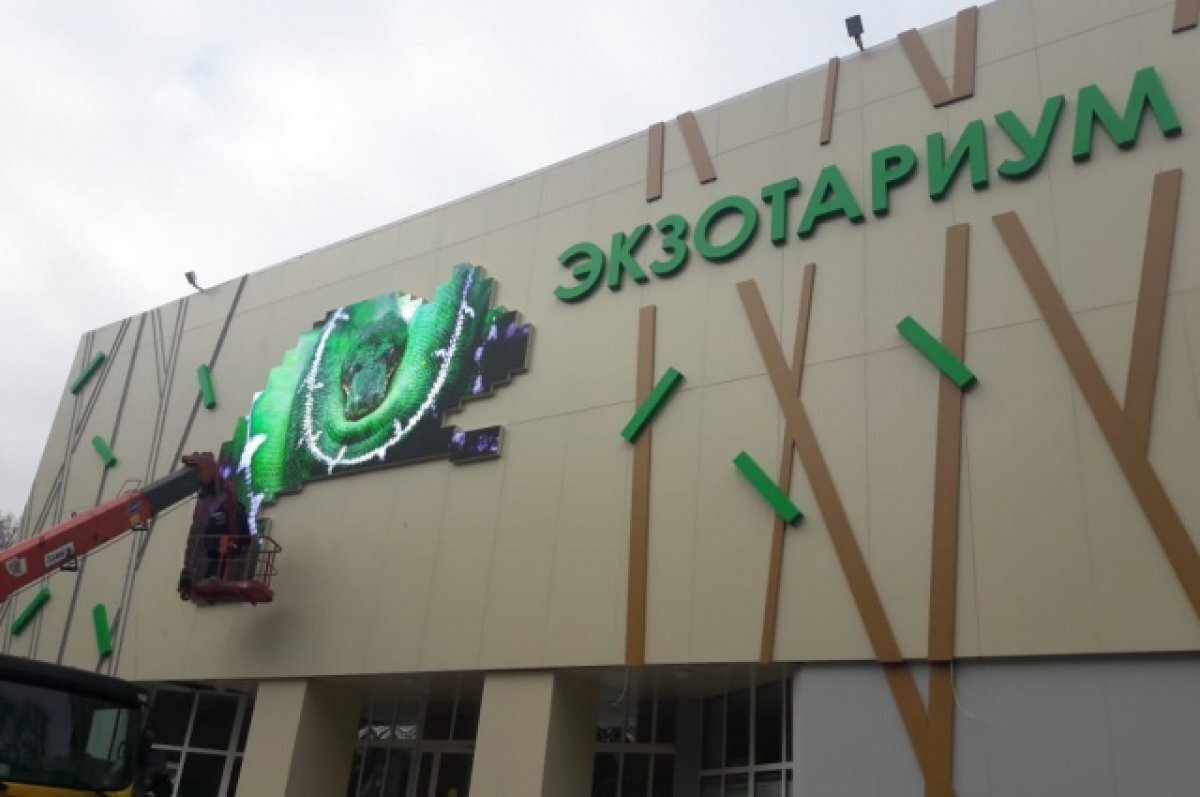    В тульском экзотариуме пройдут сразу две выставки