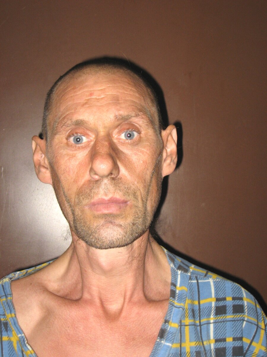 Яндекс картинки 