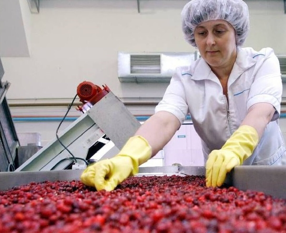   Фото: Агропромпарк Organic Vill