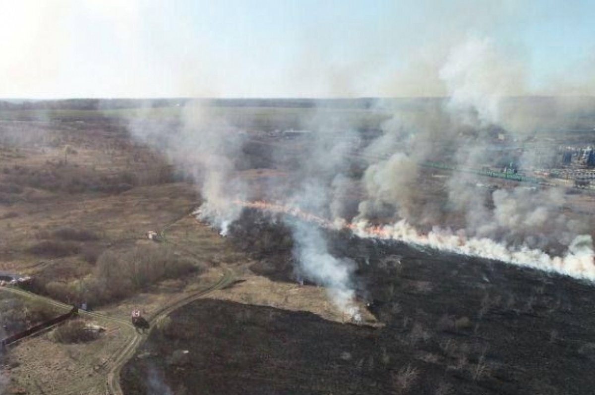    Пензенские пожарные 35 раз за сутки выезжали на тушение сухой травы