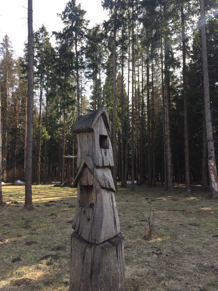 По дороге к болотам