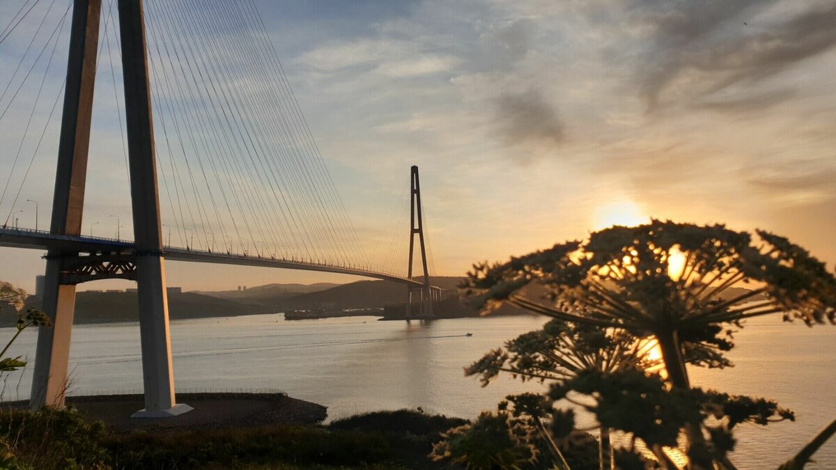     Несмотря на то, что день был насыщен новостями, самым громким событием понедельника стала встреча губернатора Приморского края Олега Кожемяко и президента России Владимира Путина. Во время встречи были подняты вопросы развития региона в 2022 году и перспективы на 2023-й и последующие годы.