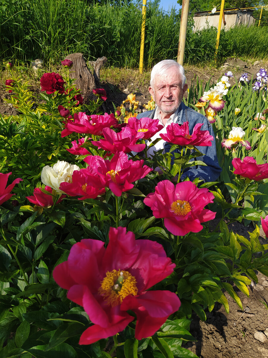Олег Киценко в своем саду