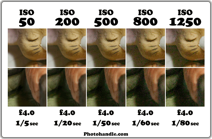 Iso как расшифровывается аббревиатура в фотографии