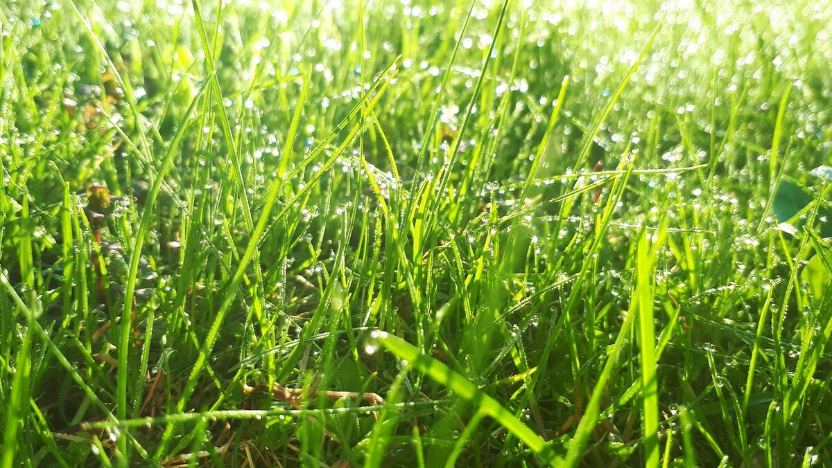 фото автора канала