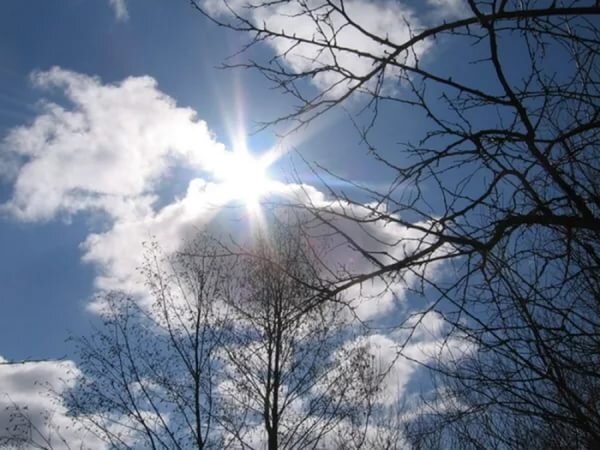    Днем 12 апреля в Оренбургской области прогнозируют потепление до +19 градусов Кристина Просвиркина