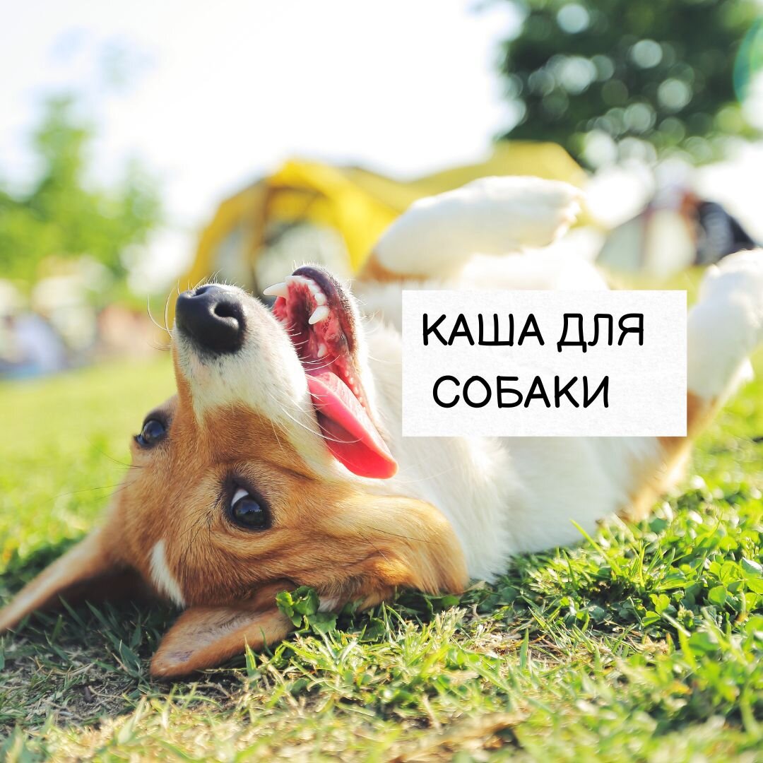 Единственная каша, которую можно.