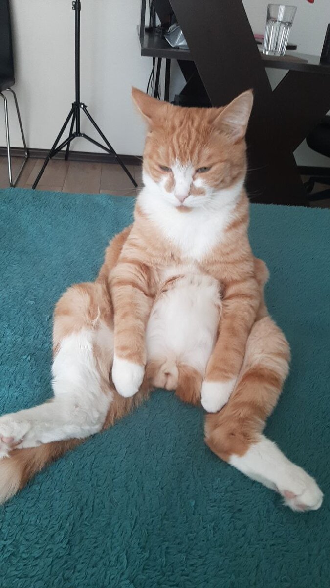 Моя исходная фотография как основа для Kandinsky 2.1