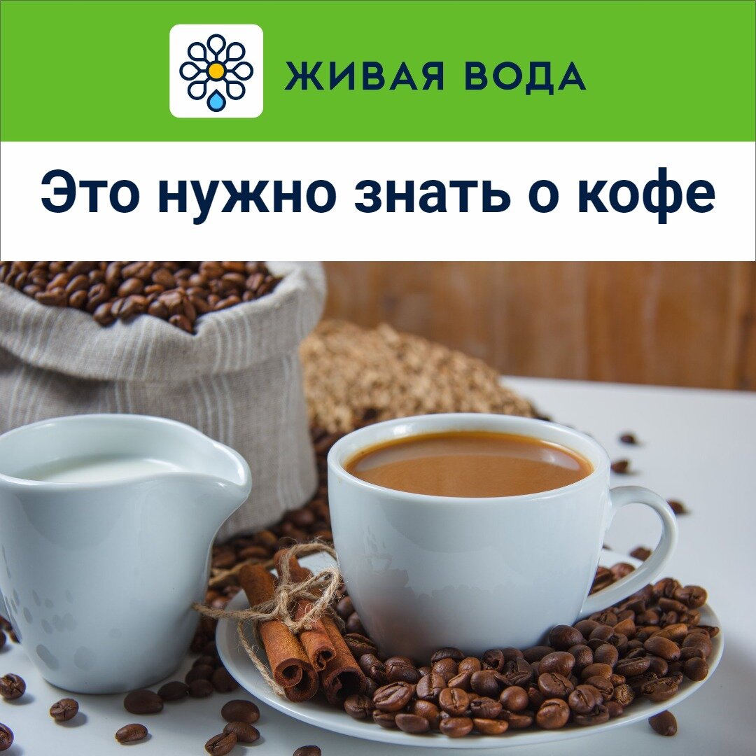 И не забывайте пить достаточное количество воды. Это позволит избежать обезвоживания.