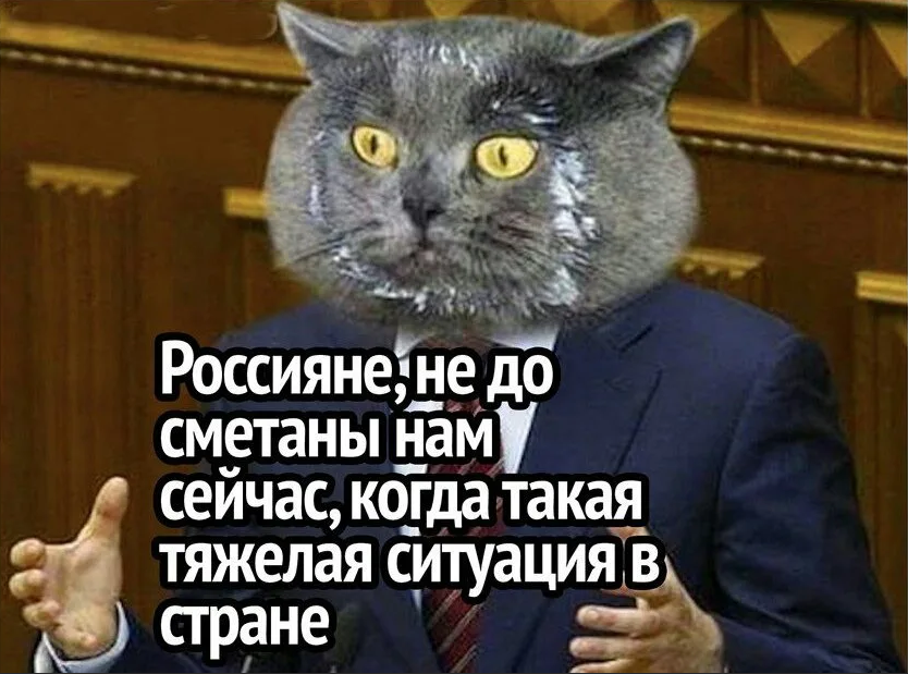 Некогда говорить. Кот депутат сметана. Коты депутаты. Не до сметаны нам сейчас. Не до сметаны нам сейчас кот