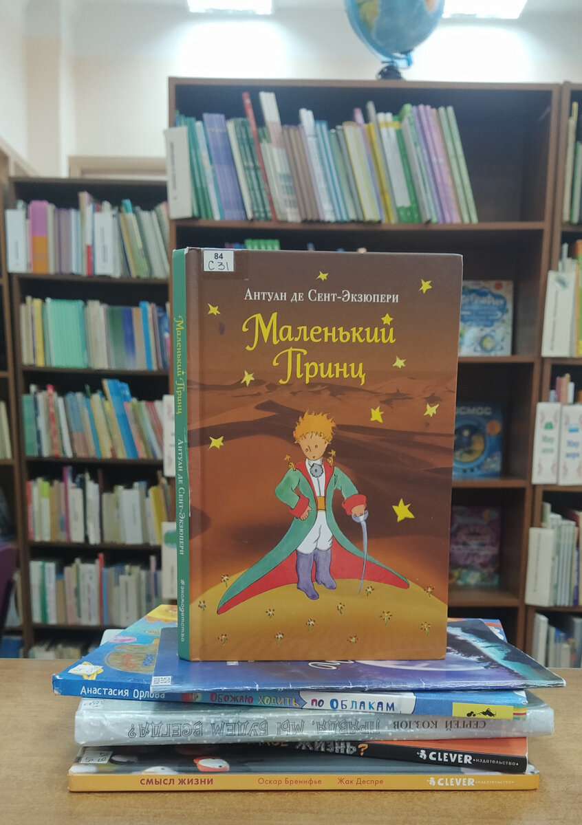 Книги о смысле жизни: для детей и не только | ЧС ИНФО | Дзен