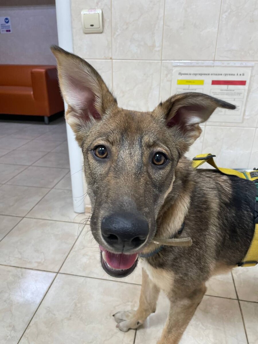 Здравствуйте! Может именно меня вы ищите?