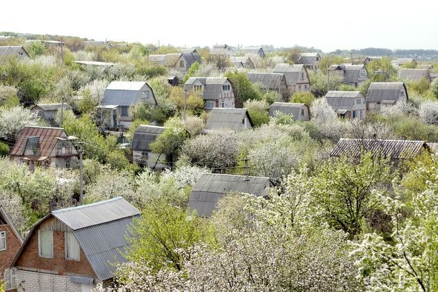 Арендуем землю СНТ