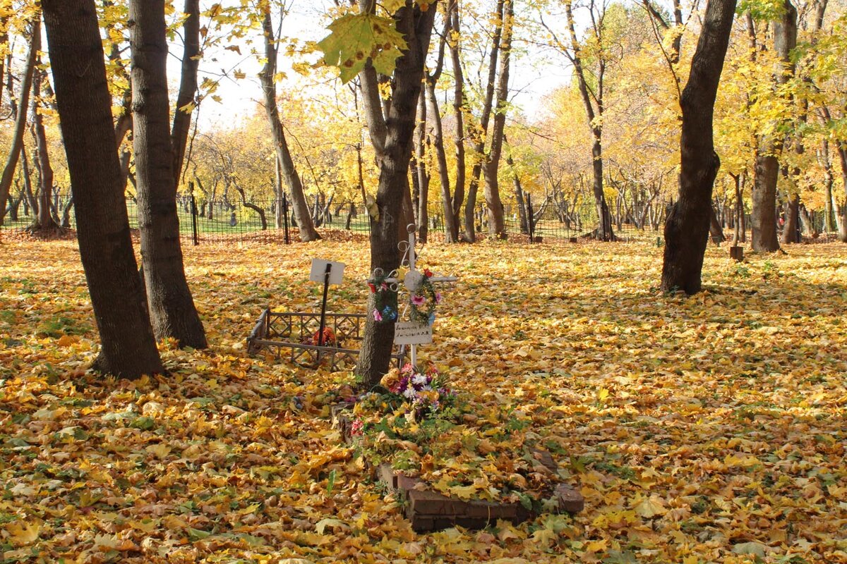 О кладбищенской мистике: наблюдения, аномалии, правила посещения кладбищ |  Таро, руны, обряды от Мии | Дзен