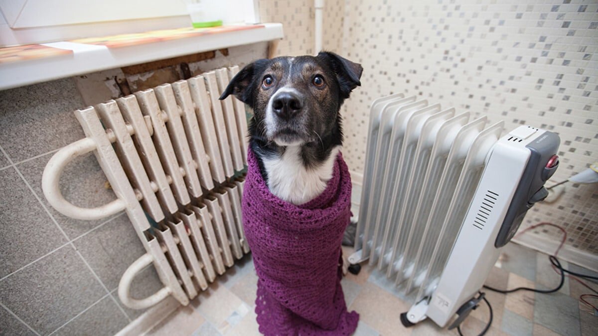 Пониженная температура