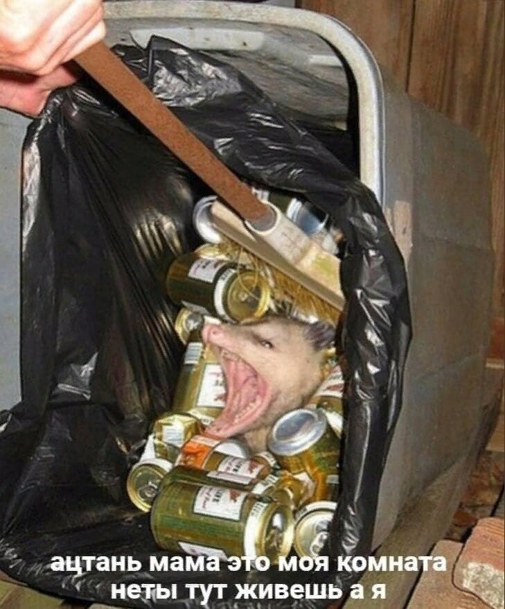 "Ну мам, ну чо ты!.. Когда мало - это плохо, а много - хорошооооо!.."  Фото из Сети 