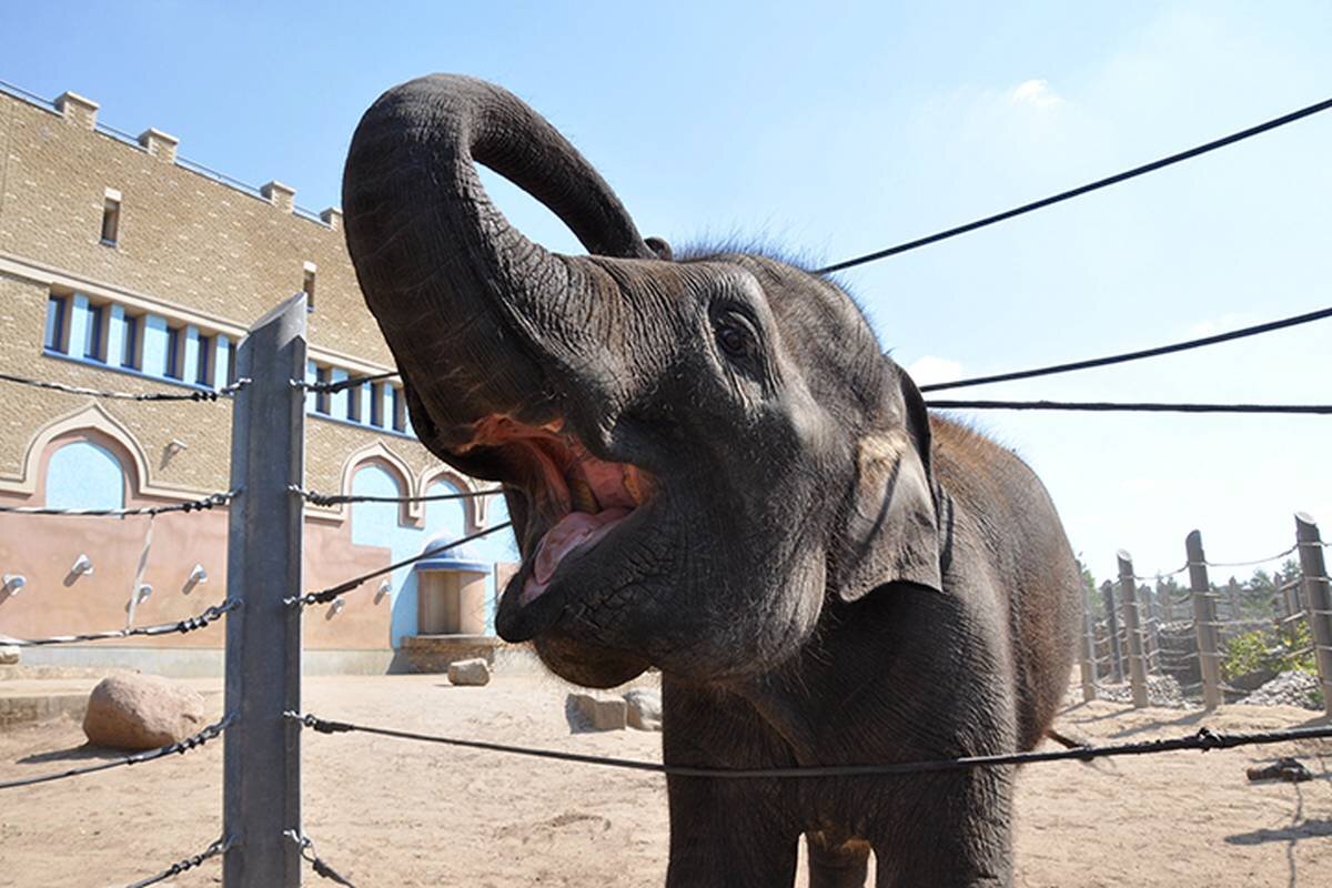    Фото: АГН Москва