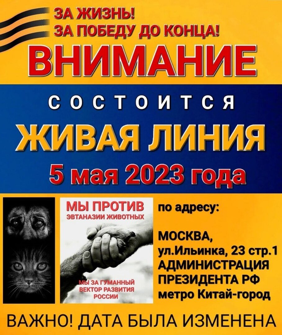 Живая линия против убийства животных! | Центр АНО «ГБР.ЗООЗАЩИТА» | Дзен