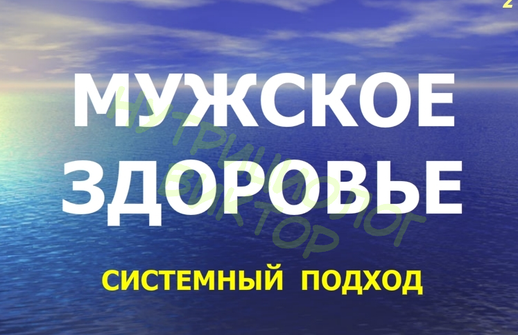 МУЖСКОЕ ЗДОРОВЬЕ. СИСТЕМНЫЙ ПОДХОД.