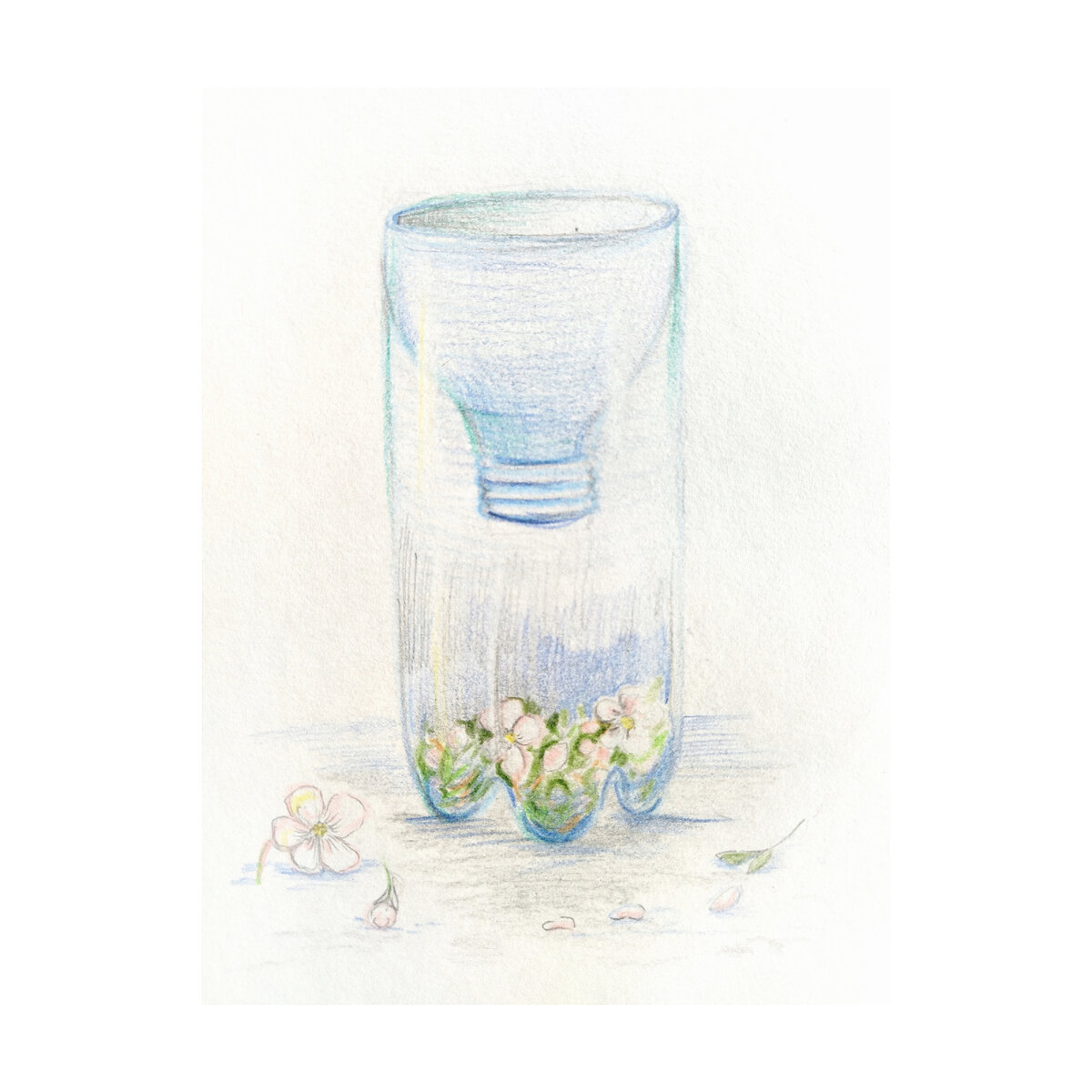 Иллюстратор Ксения Водолевская