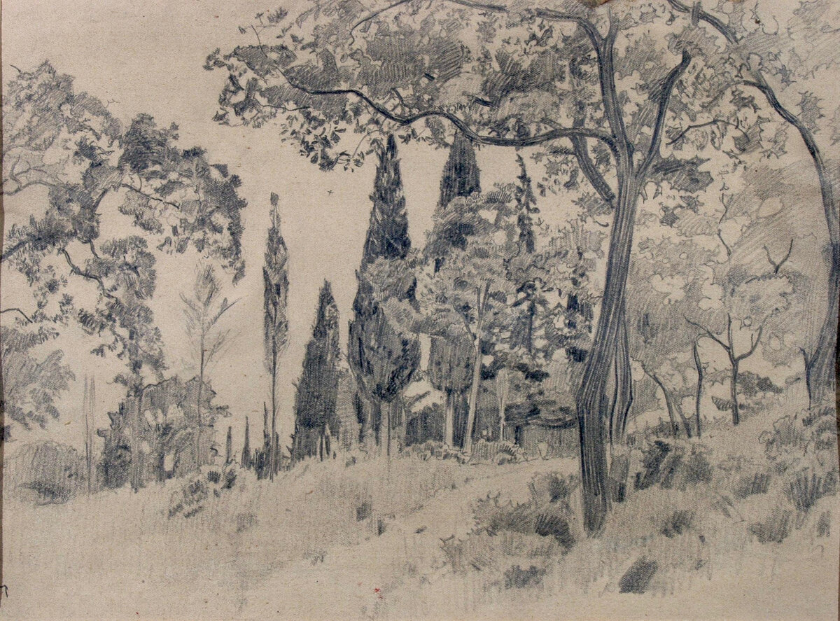 Аркадий Александрович Рылов (1870–1939)
Пейзаж с кипарисами
Конец XIX — начало XX вв.
Бумага, графитный карандаш
НИМ РАХ
