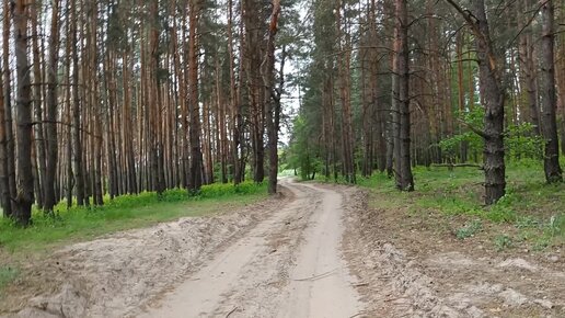 Живописное озеро Тахтарка в окрестностях Павловска