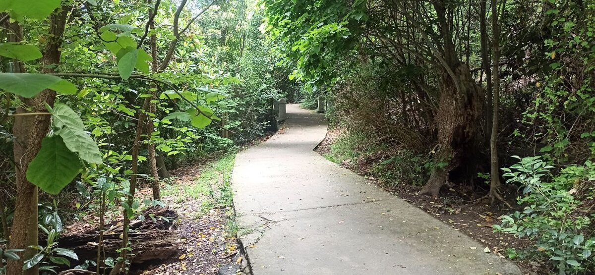 Извилистая и красивая Тропа Здоровья в Сочи