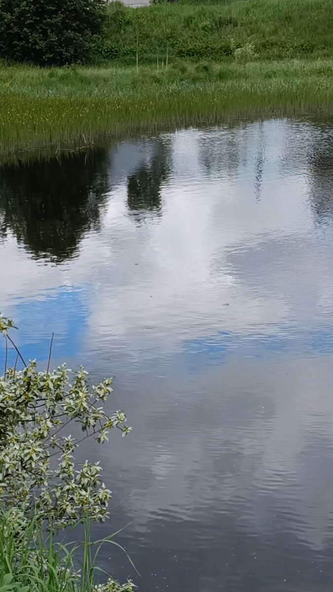 Фото автора статьи. 